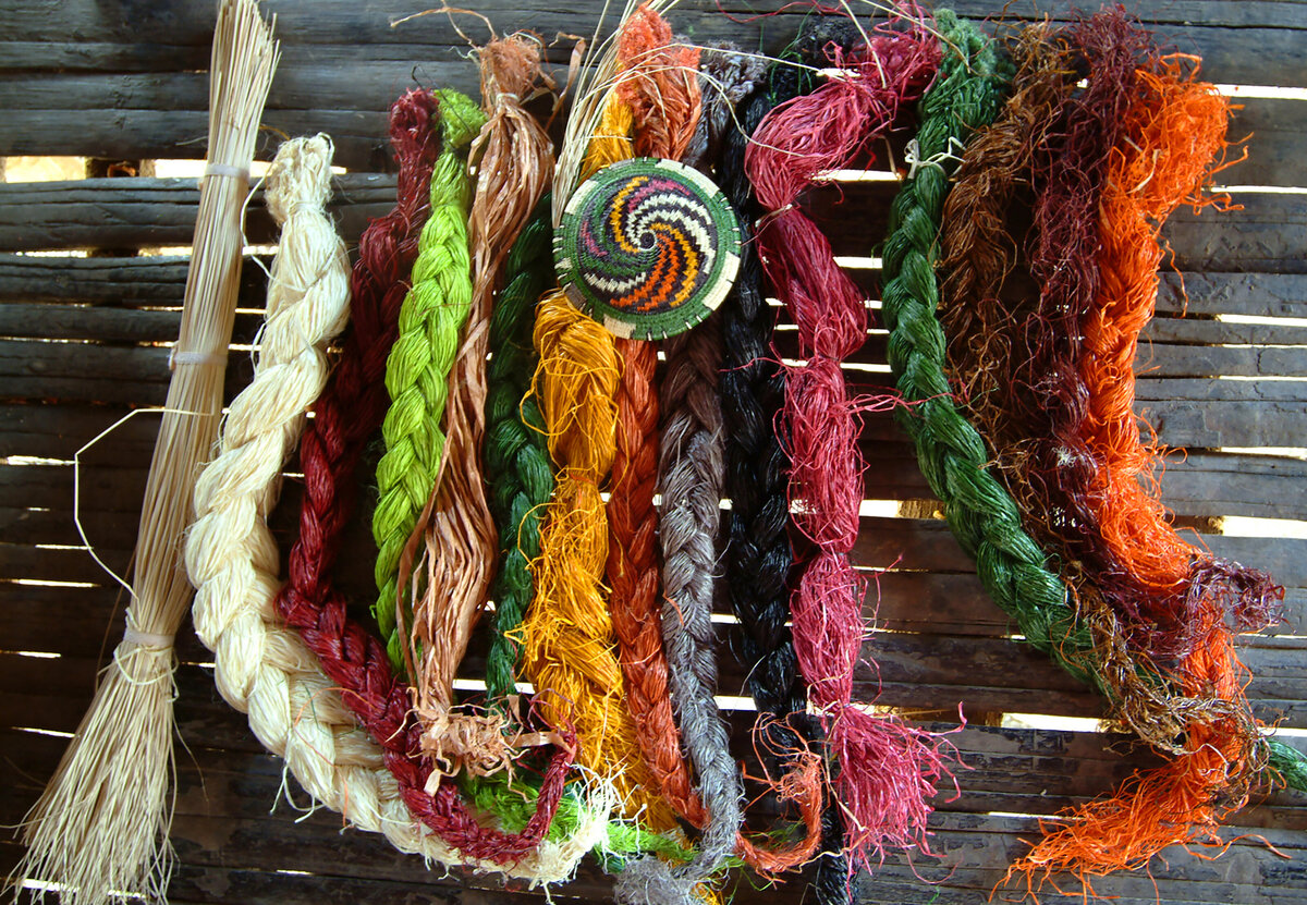 Rich and vibrant colors are derived by boiling palm filaments in a variety of vegetal sources
