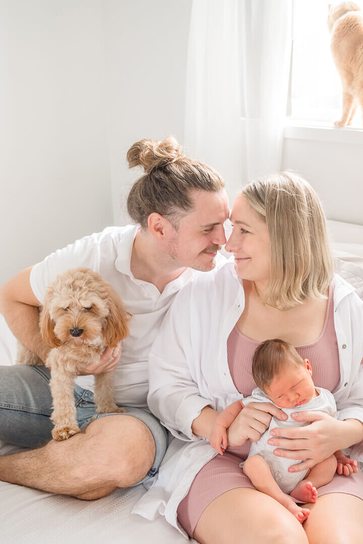 Newborn maternity photoshoot with pets in home session in Gold Coast QLD