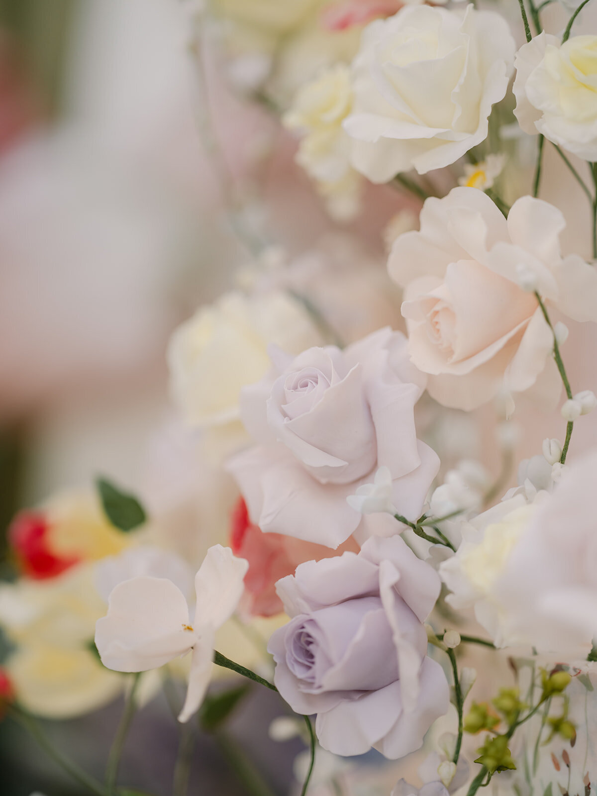 9666400517.jpg_exif1 3