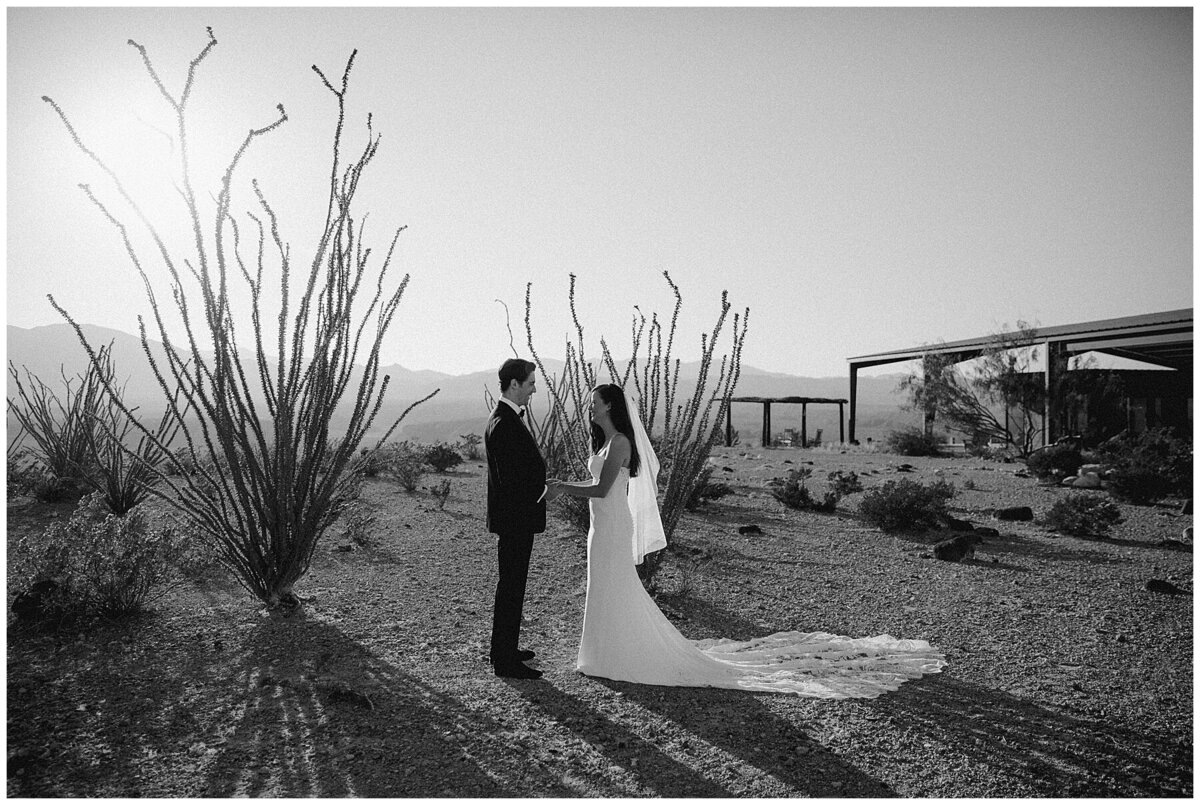 Marfa-Texas-Elopement-By-Amber-Vickery-Photography-46