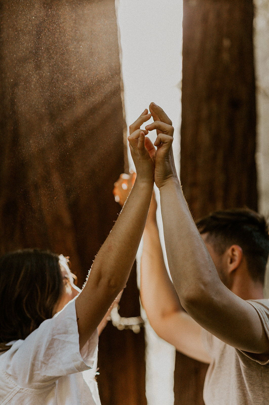 ali-rae-photography-redwoods-california-state-park-couples-session-35