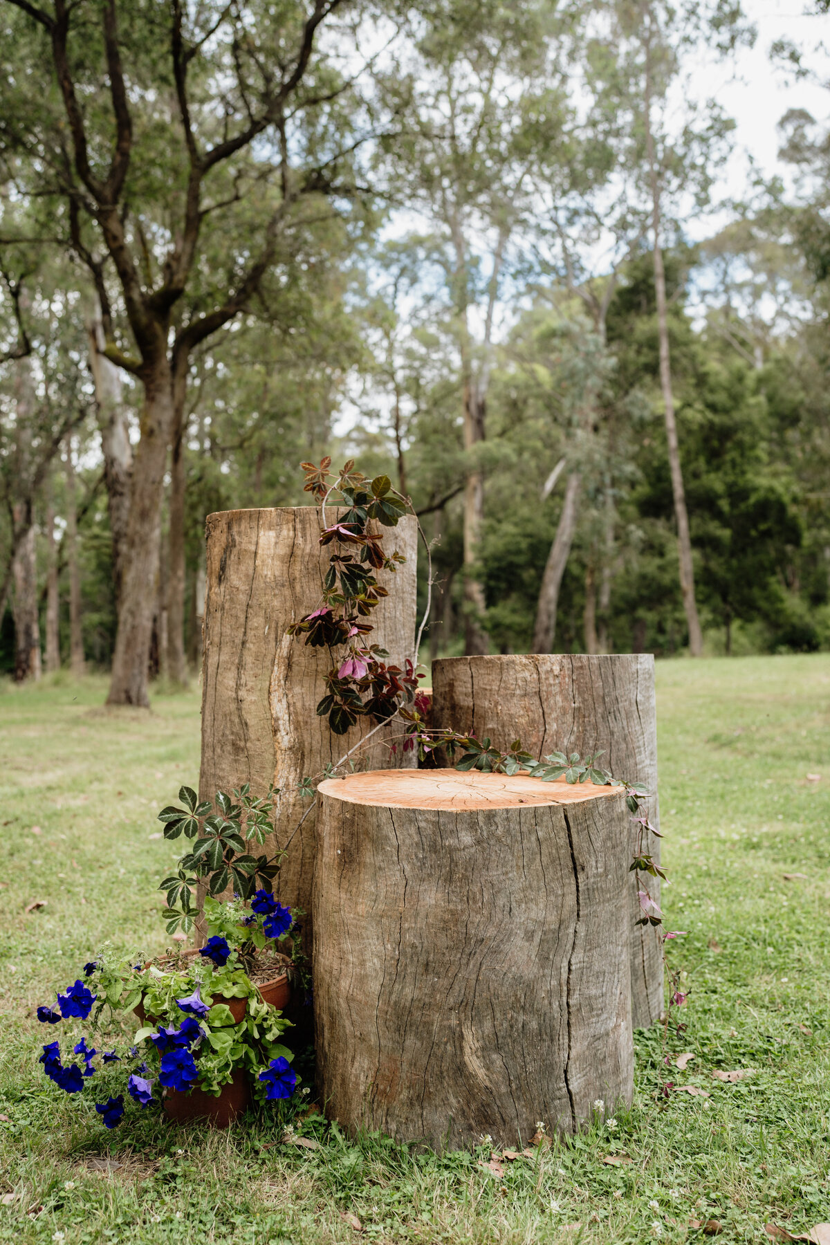 Claire and Justin - Wedding - Ceremony - JessicaCarrollPhotographer-22