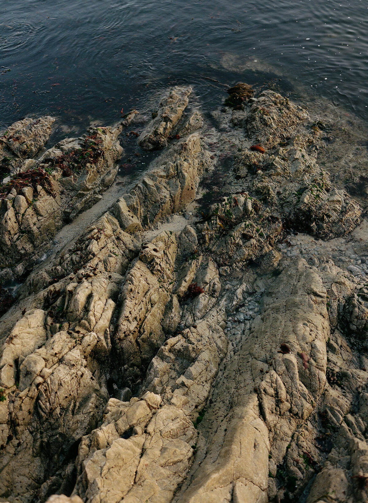 DT-2025-Kelcie&StevenPreview-157