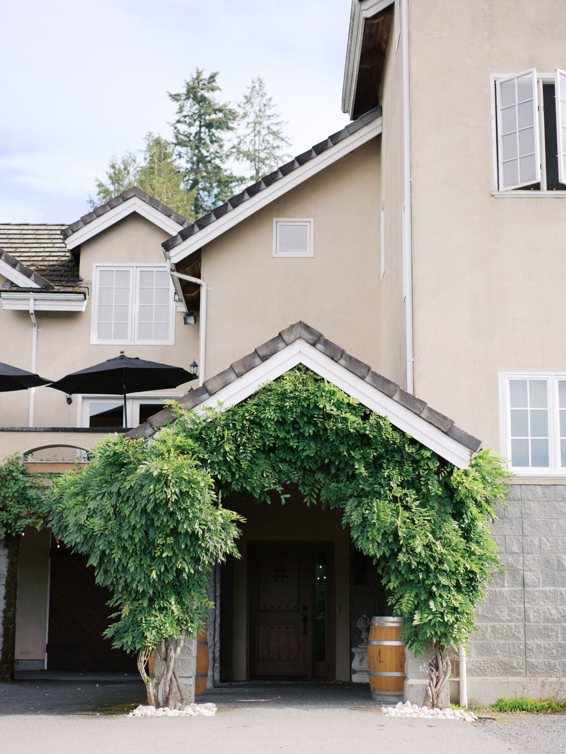Entrance framed by ivy and charming architecture