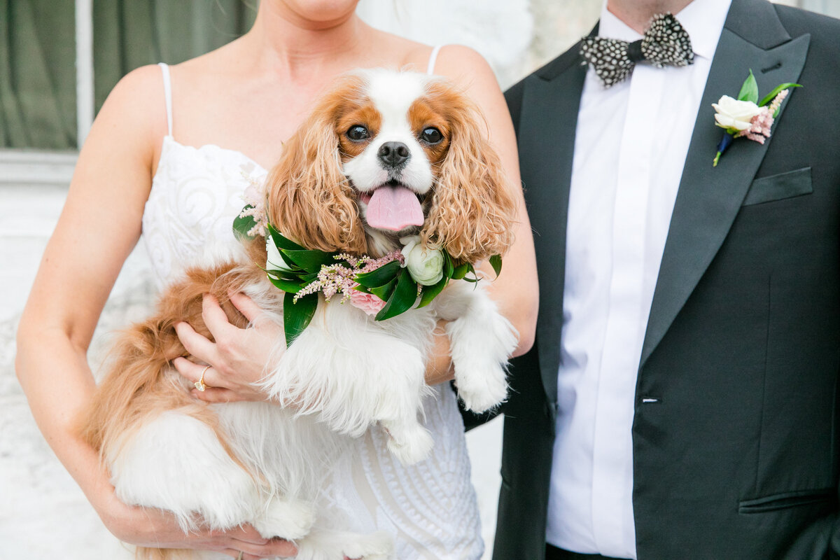 best-charleston-wedding-photographers-dana-cubbage-weddings-18