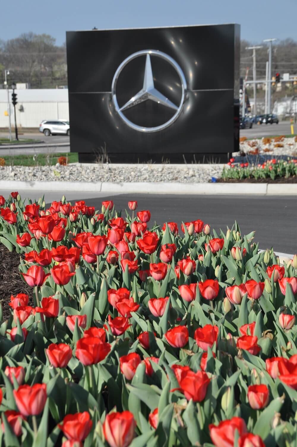 Commercial landscape company project in Kansas City