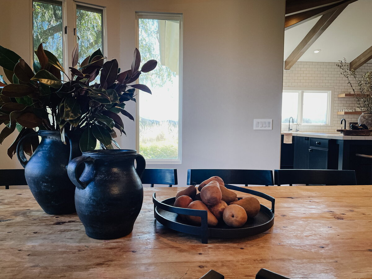 potted plant on dining table