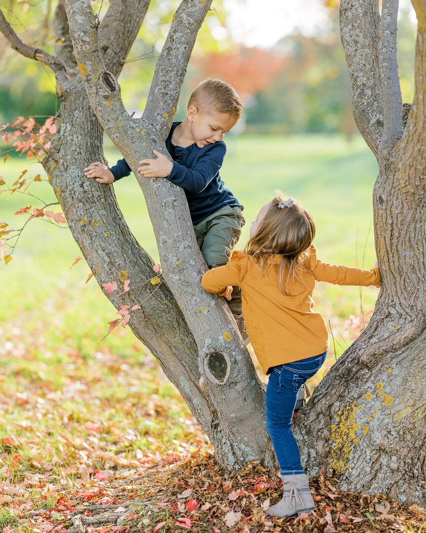 Saginaw Michigan fall mini sessions-8