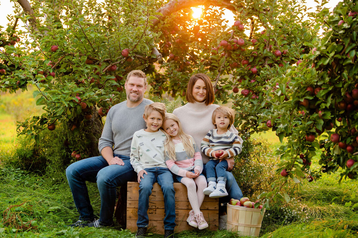 Mom and dad sitting on a crate with their two sons and daughter in an apple orchard with the sun setting behind them for their fall family photography session in Burlington, On
