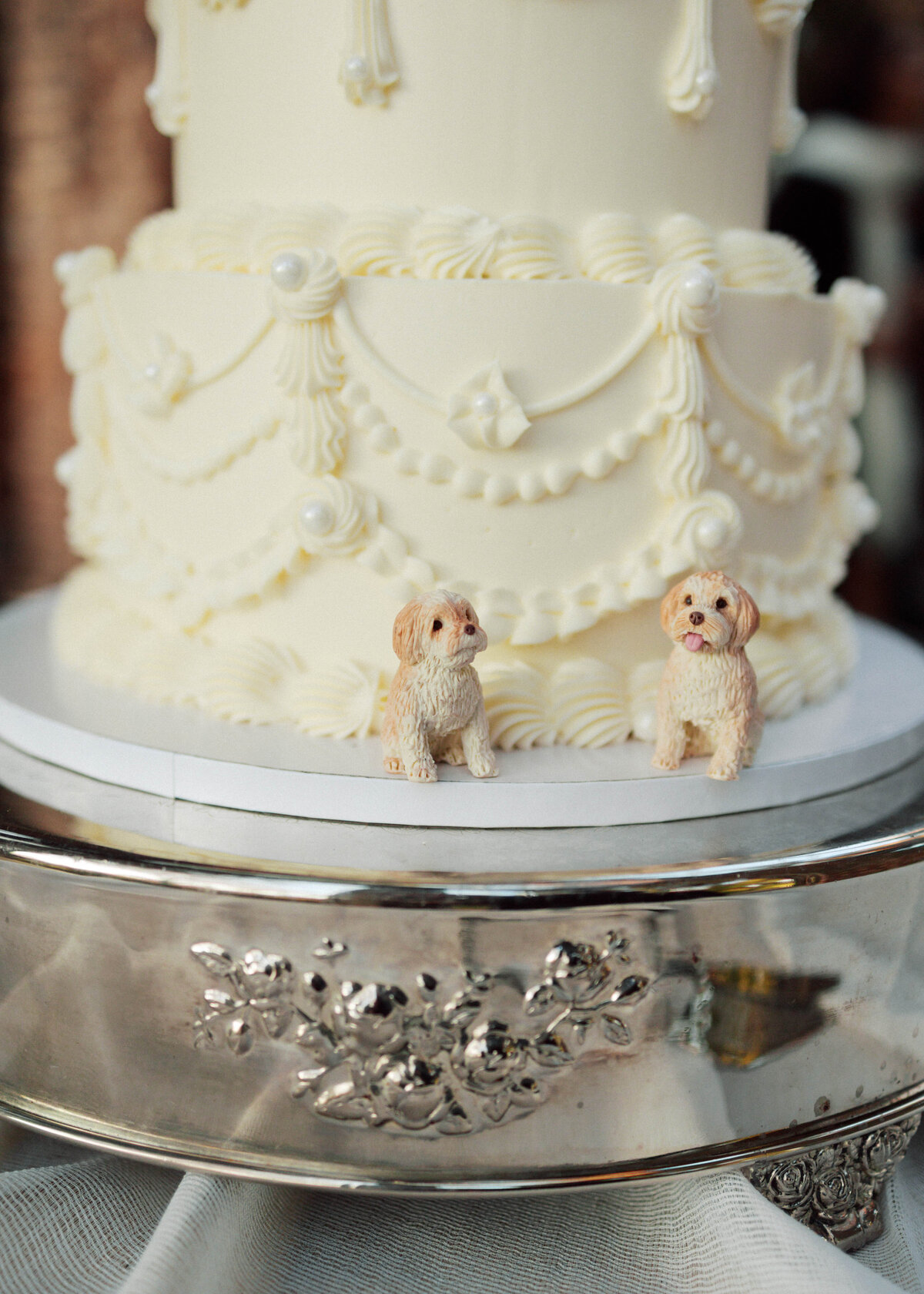 20241221_SCWedding_TLC-1047