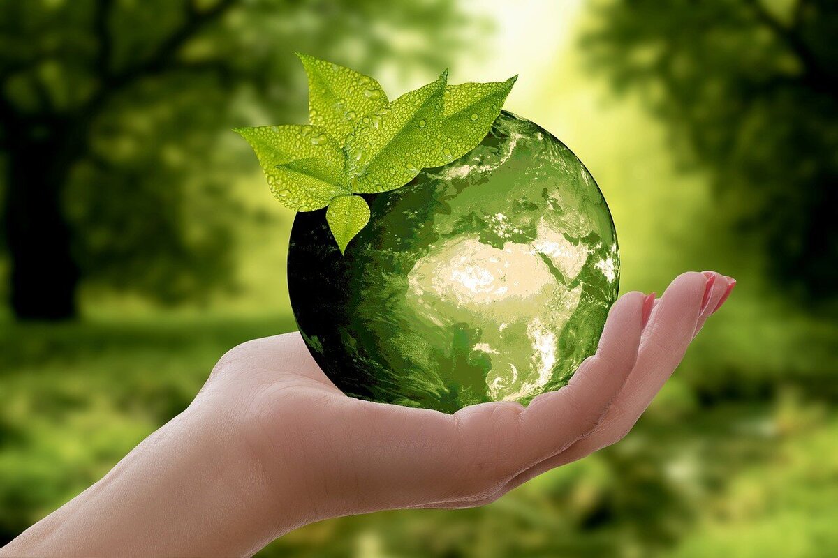 water globe with a leaf in nature being held gently