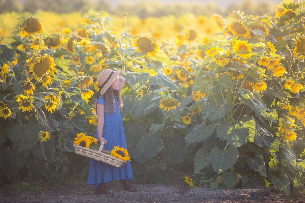 Woodinville Sunflowers Children Photographer