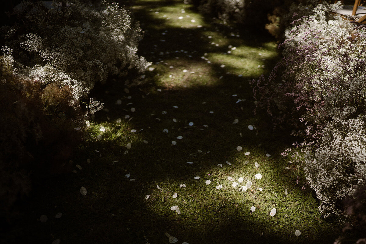 Amanda-Drost-Photography-486
