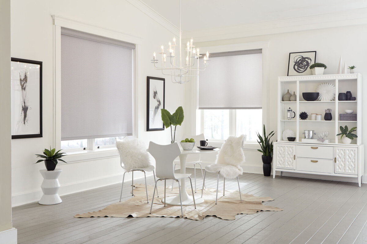 Roller Shade modern cordless