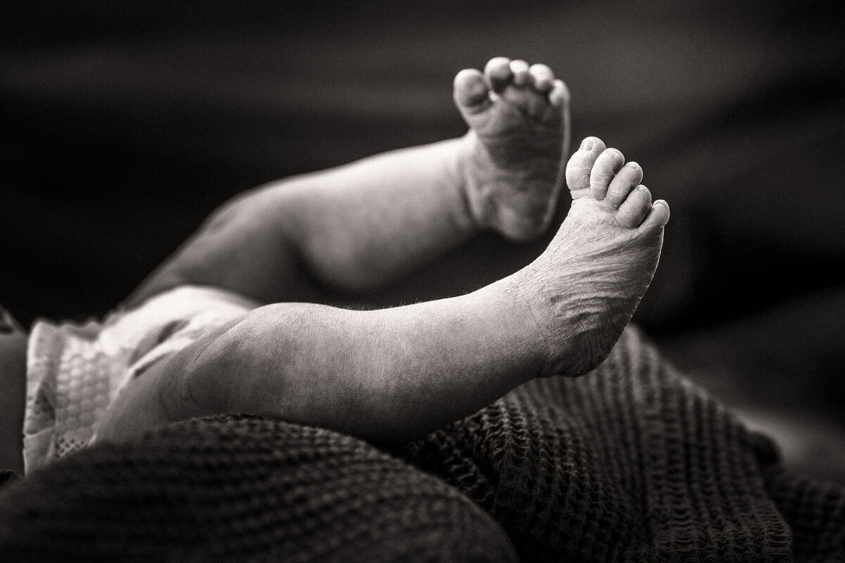 rkady_Brown_Best_Family_Photographer_Metro_Detroit19