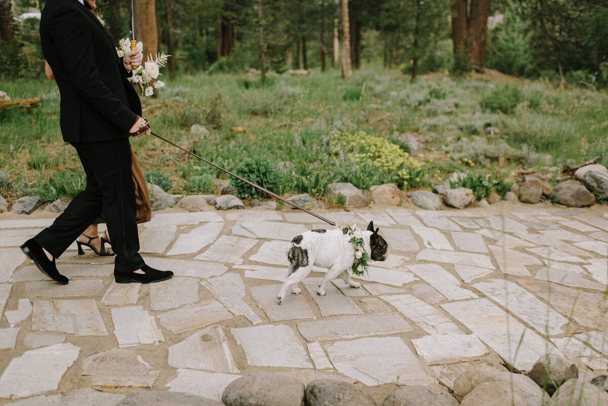 Lake-Tahoe-Wedding-Planner-Dancing-Pines-26