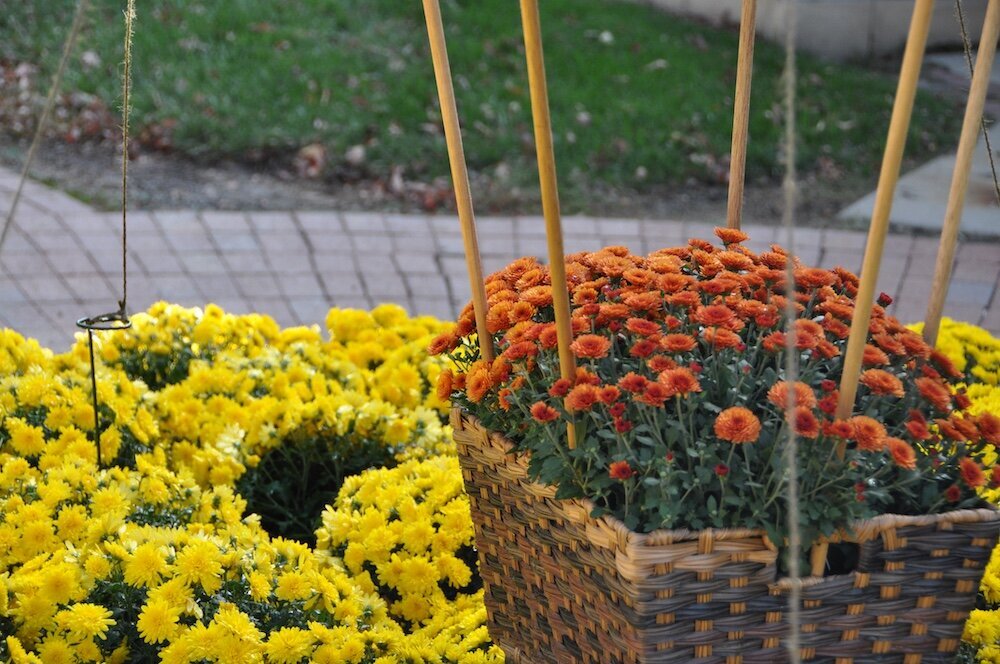 Residential landscape company project in Kansas City