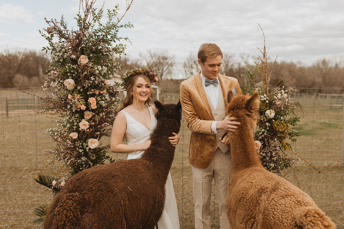 Alpaca Styled Shoot-168