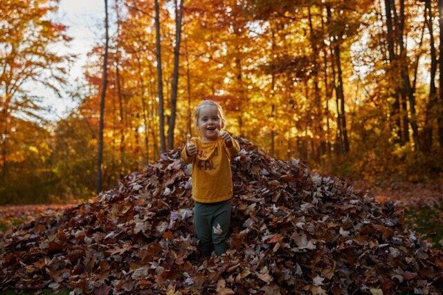 LeafPile_WhiteLake_MI 9 Medium