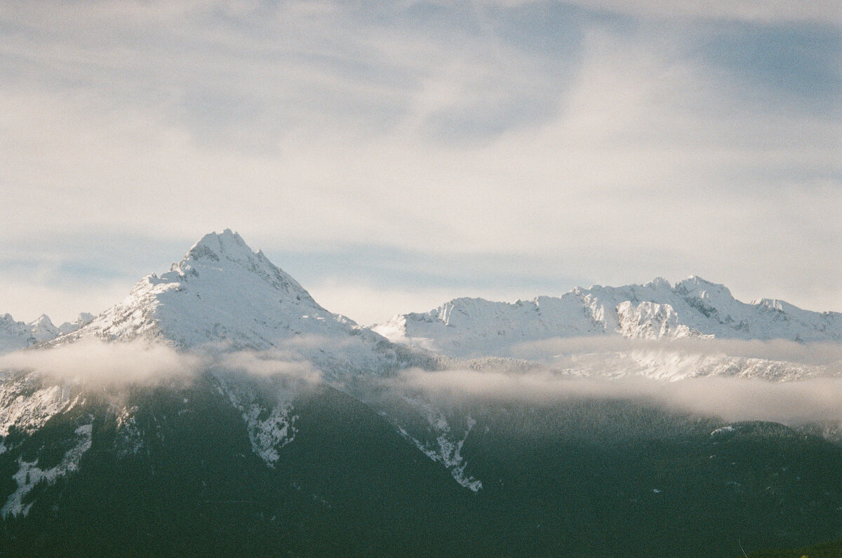film1
