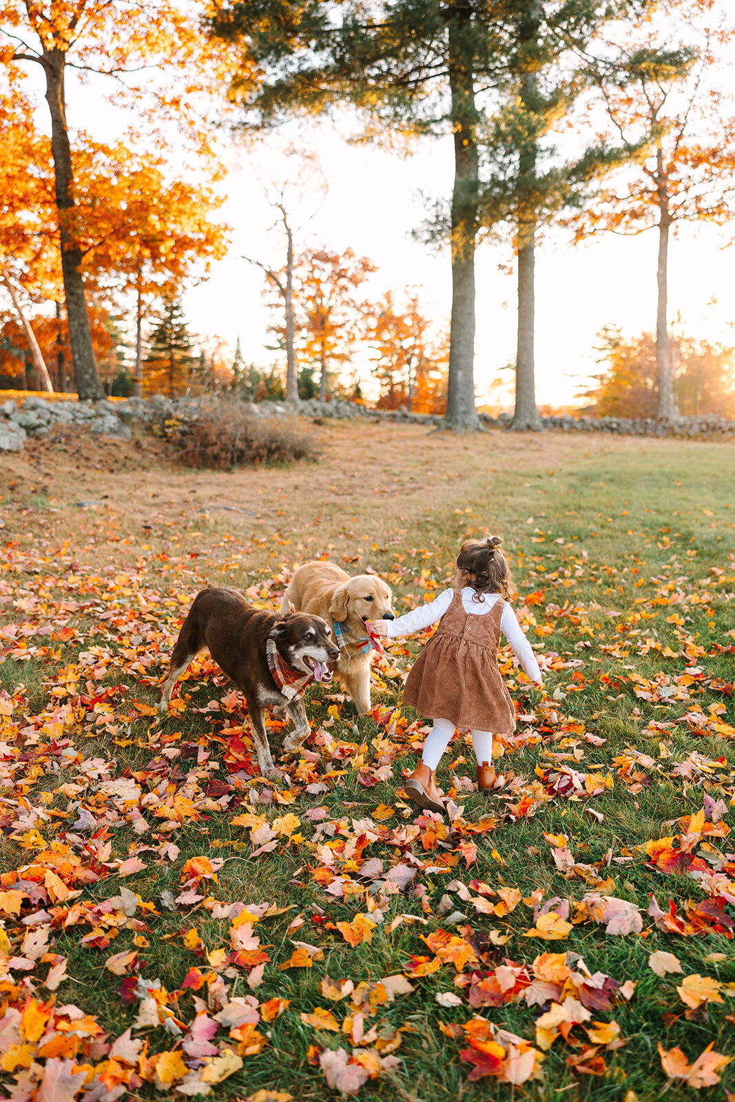 taylapaigephoto-AE2024-150