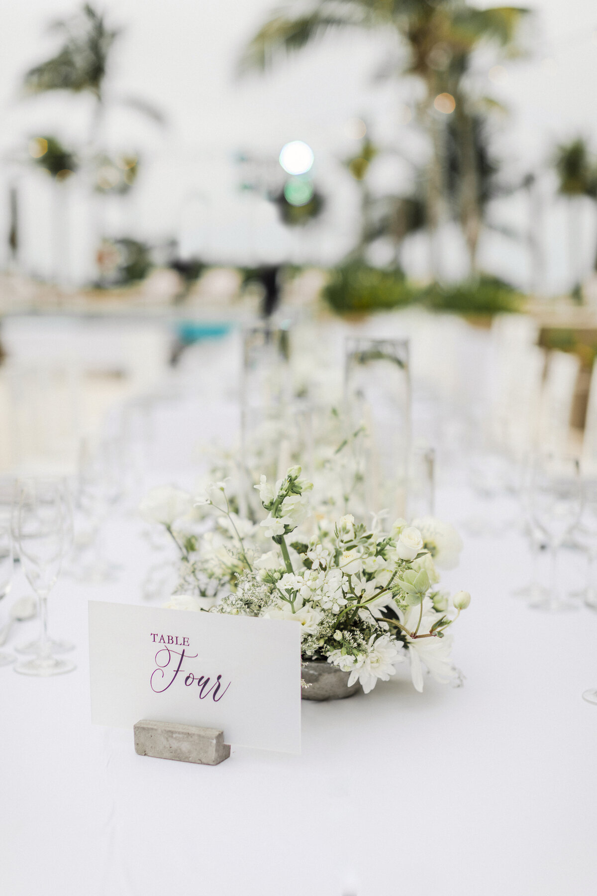 destination wedding in Playa Mujjeres, Mexico