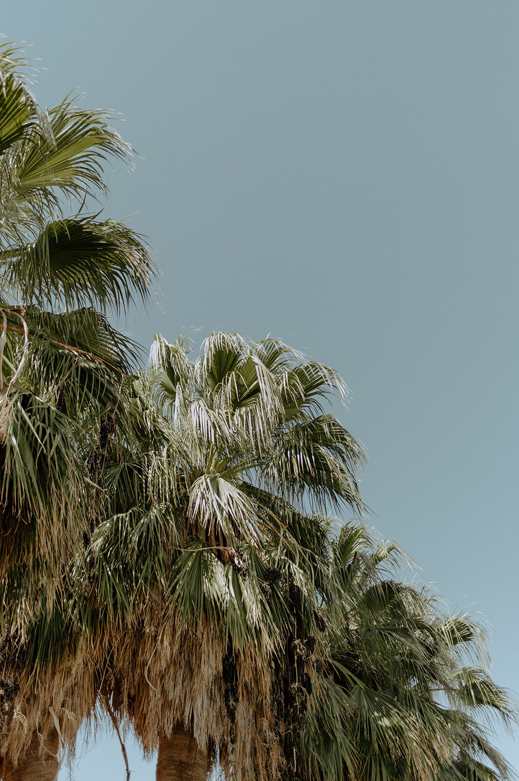 DSC_1077