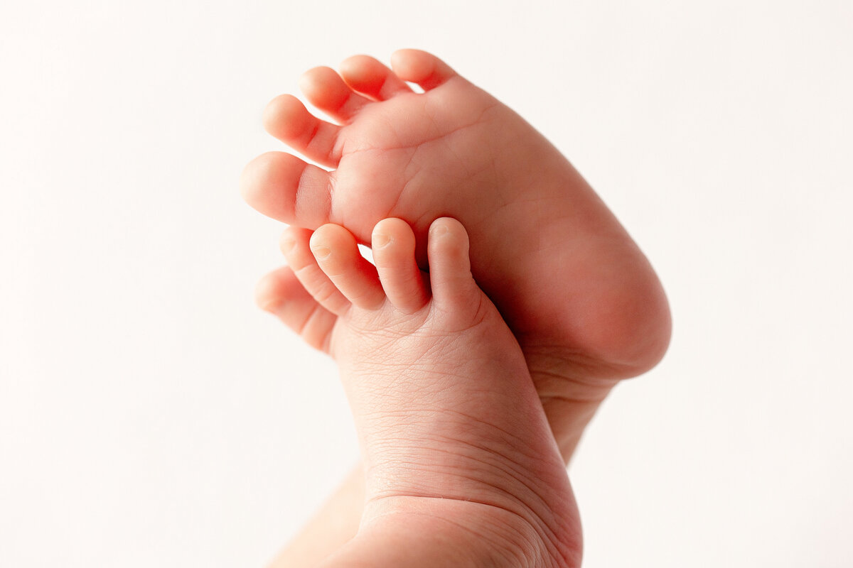Detail images of newborn baby feet and toes captured during a studio newborn session in Fresno, CA