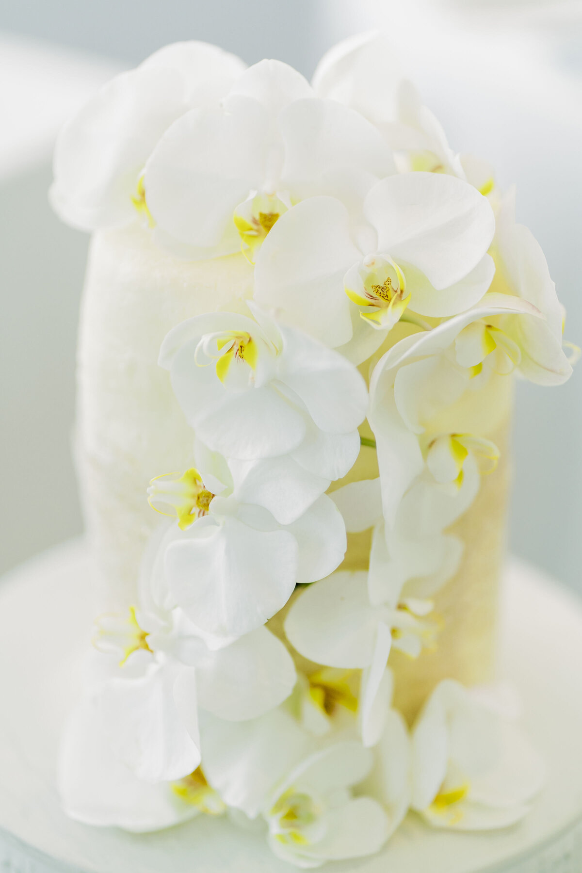 christine-grace-photography-pearle-hotel-burington-00028