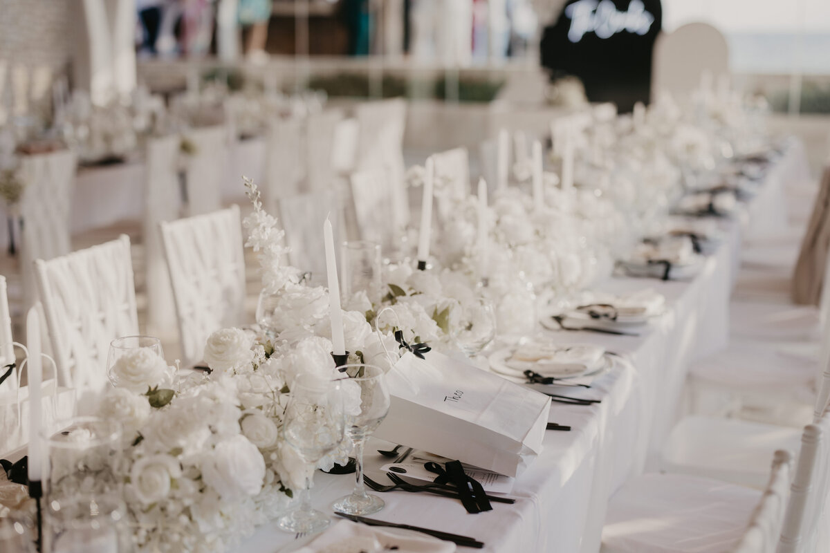 SashaTreanorPhotography-981