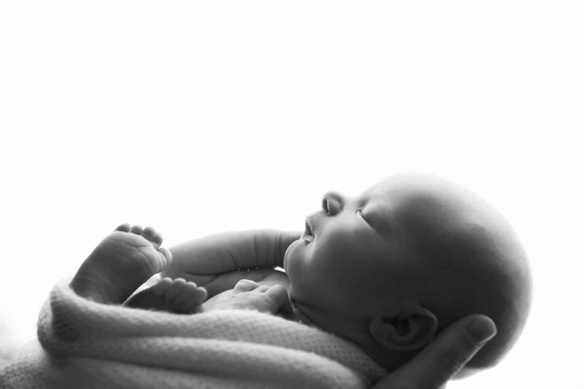 Black and White backlit studio portrait of newborn baby boy