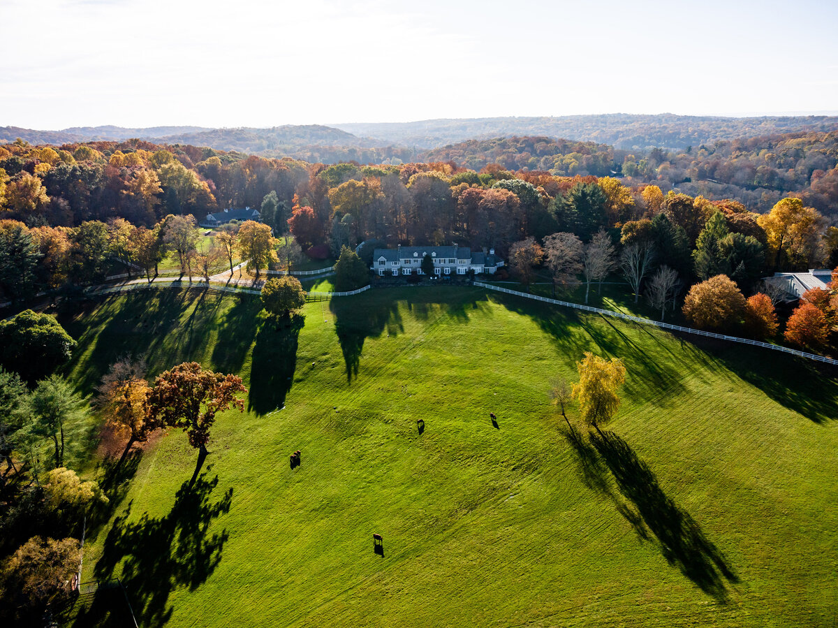 Cabbage Hill farm