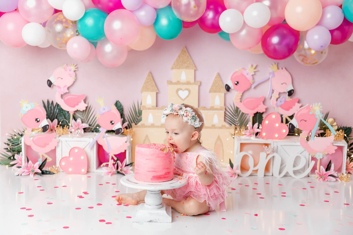 new-jersey-smash-cake-photographer-53