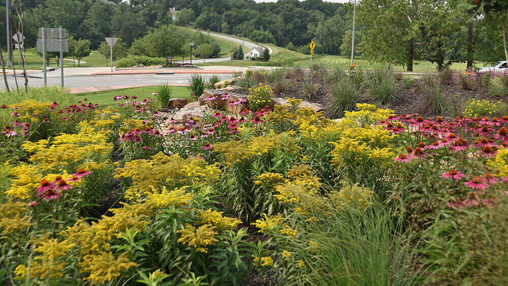 Commercial landscape company project in Kansas City