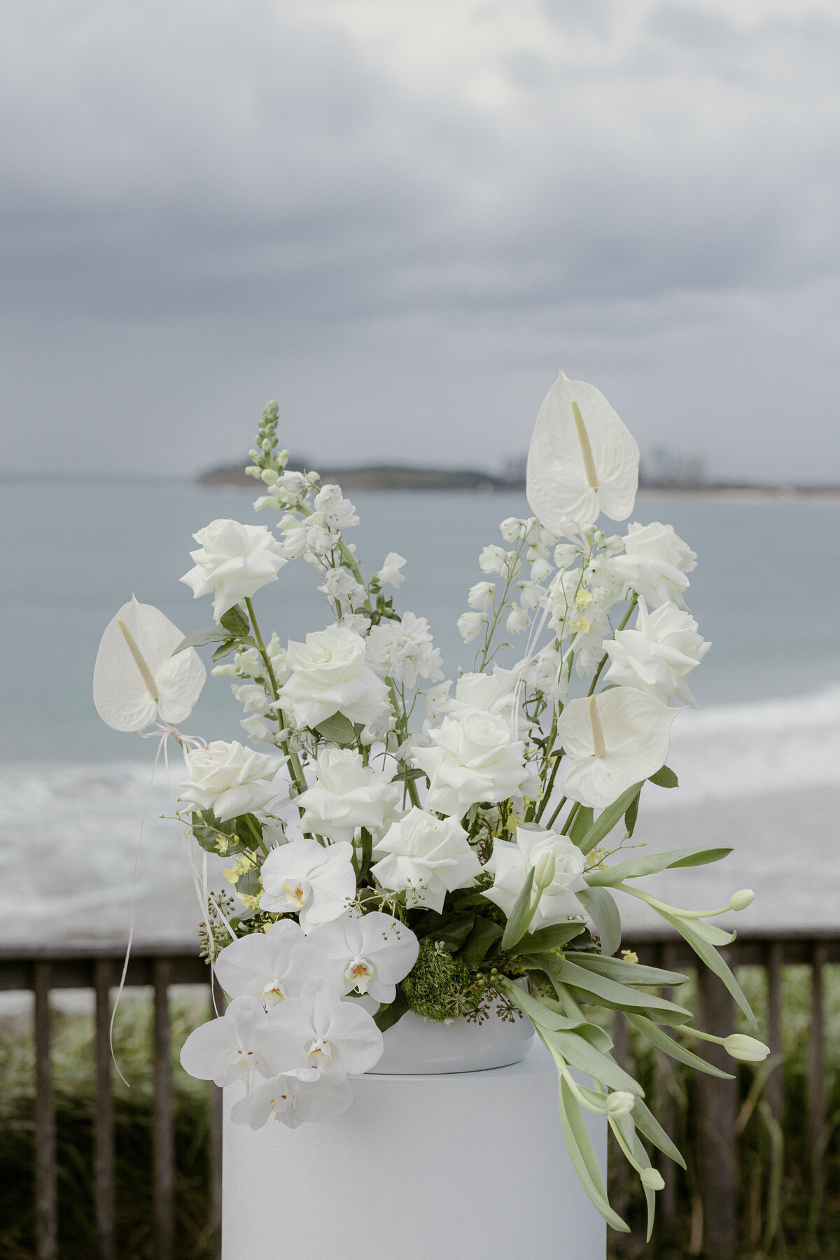 Nastasha Maree Photography (5)