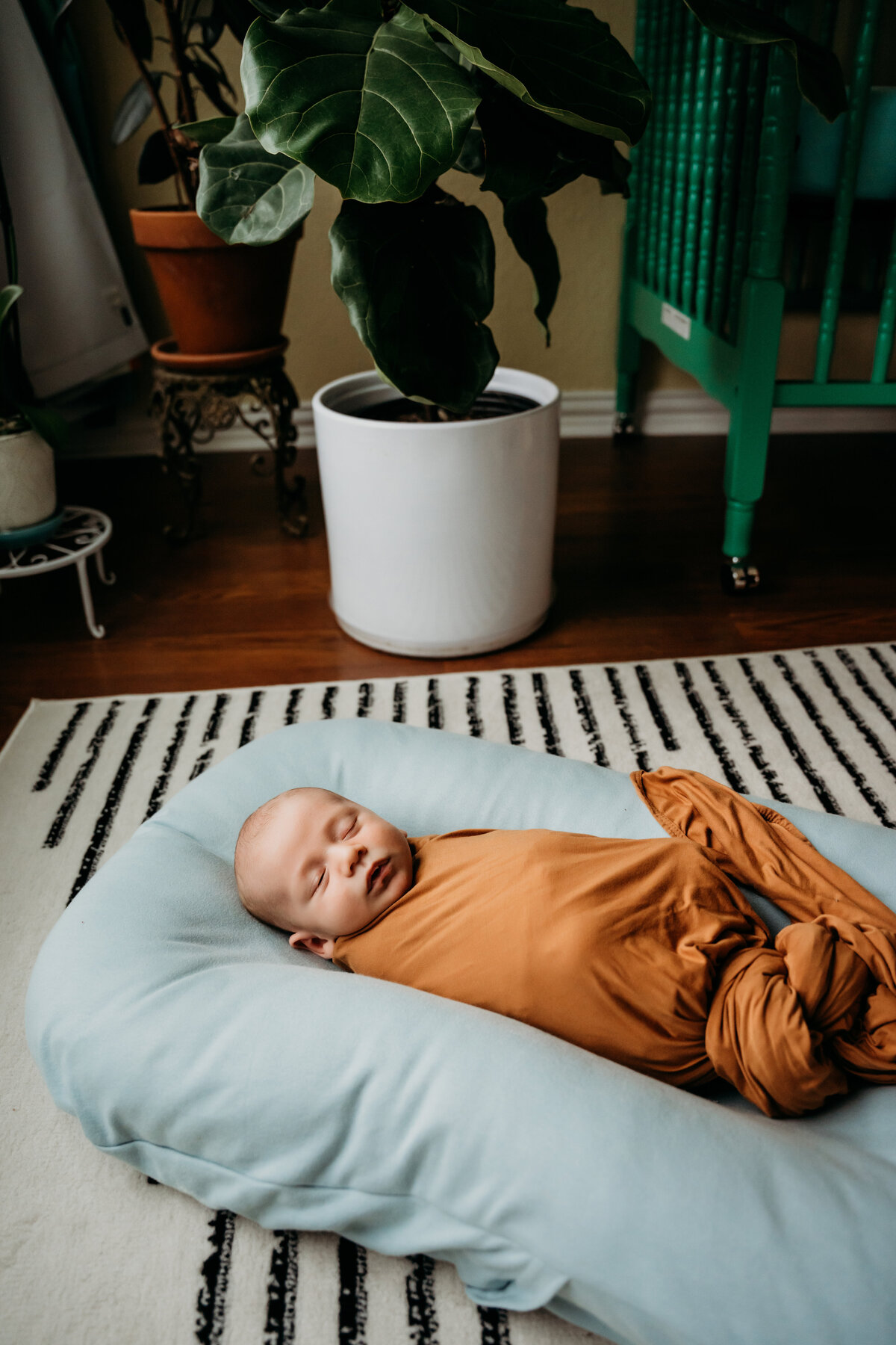 Newborn Photographer, a baby lays on a pillow in the living room