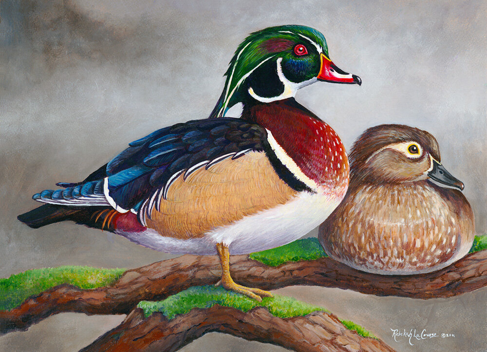 Fine Art | Paintings by Artist Rebekah Lowell