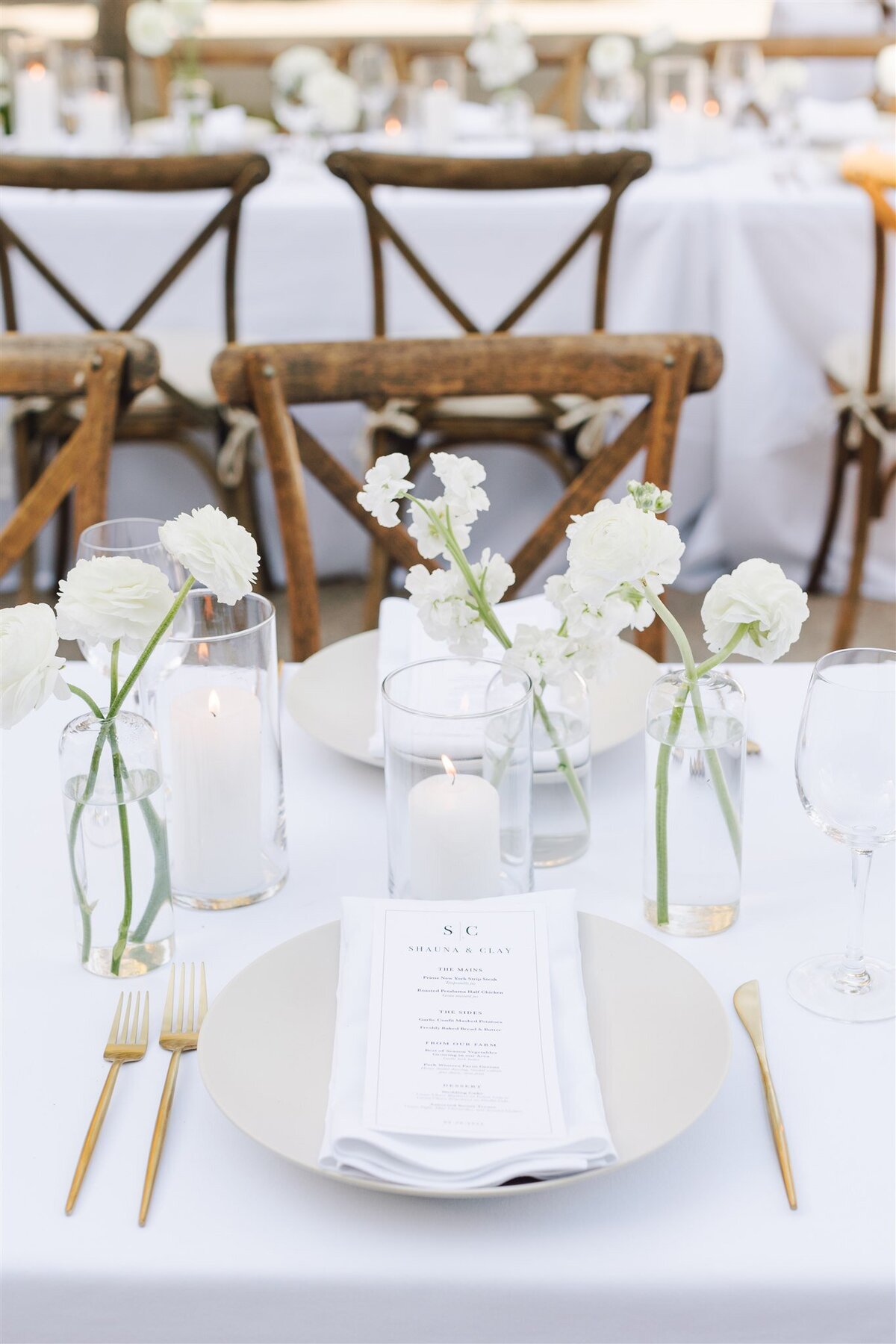 Park-Winters-wedding-Clay-Shauna-previews-ashley-carlascio-photography-0058