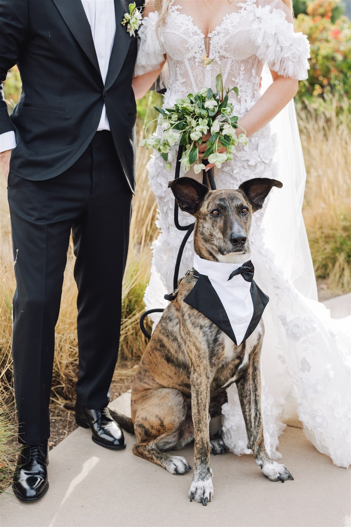 bernardus-lodge-spa-carmel-valley-wedding-gianna-ajax-ashley-carlascio-photography-0961