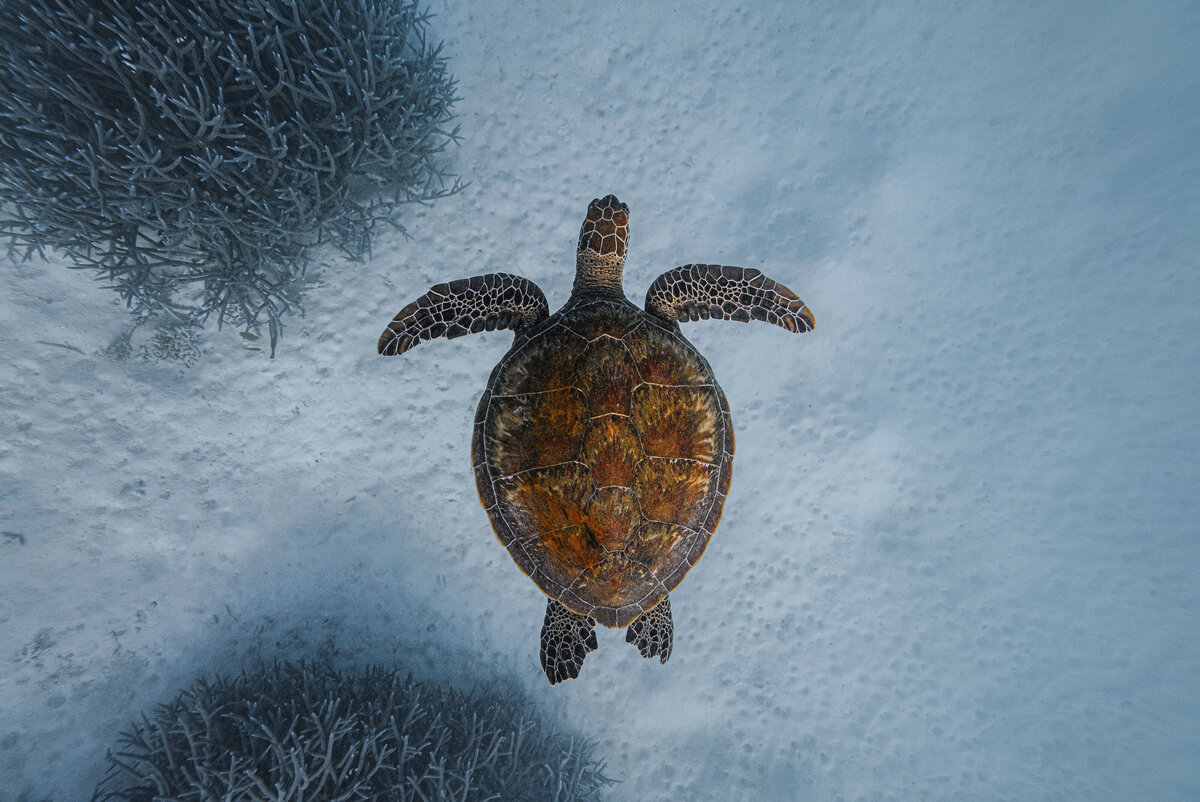 152_underwater_helloemilie