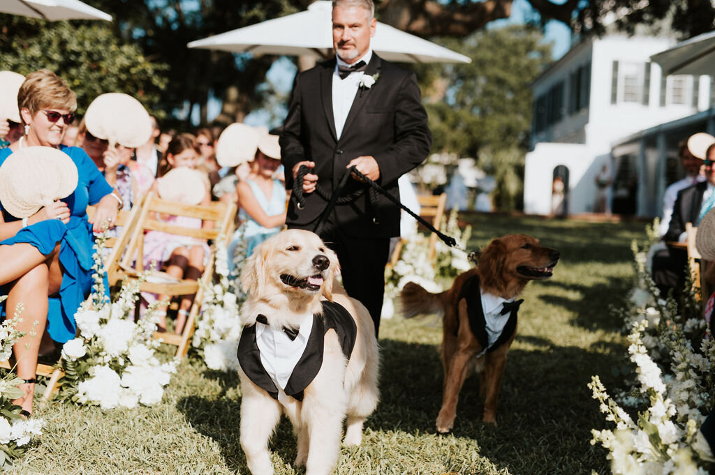 Charleston Wedding | Carolina Occasions 12