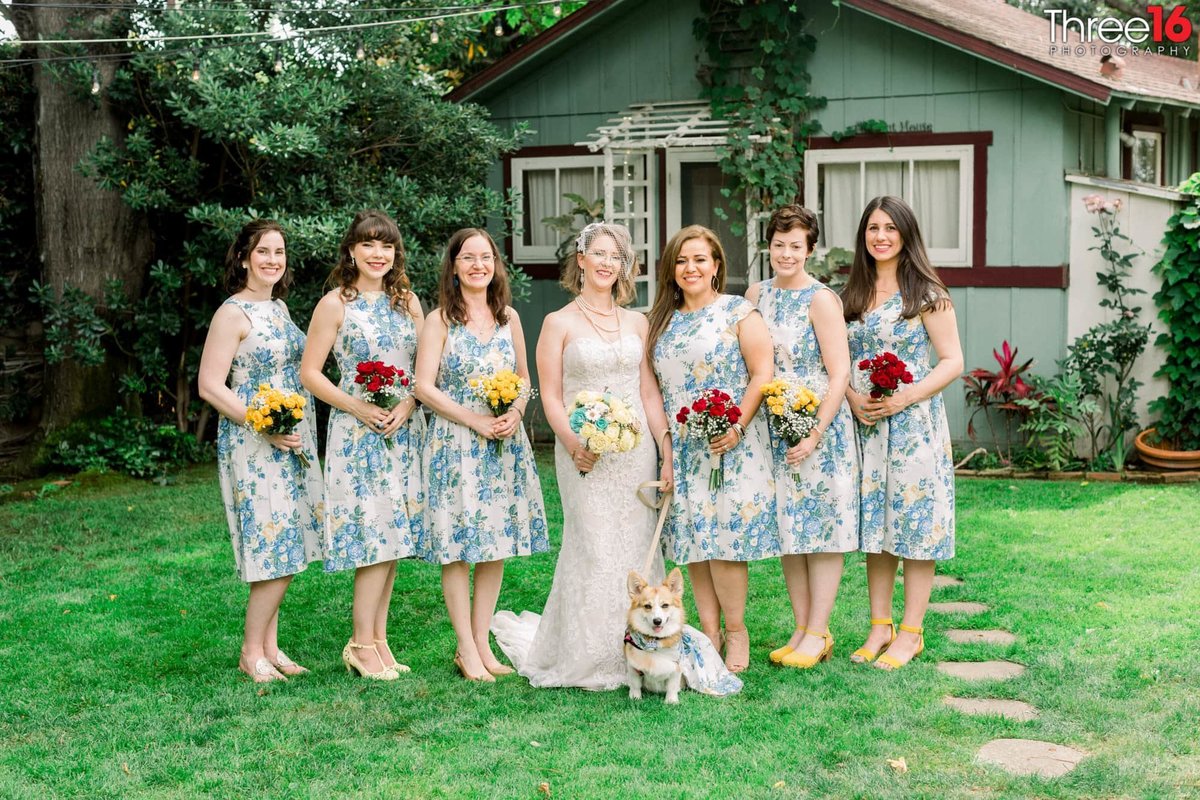 Bride poses with her Bridesmaids and a dog