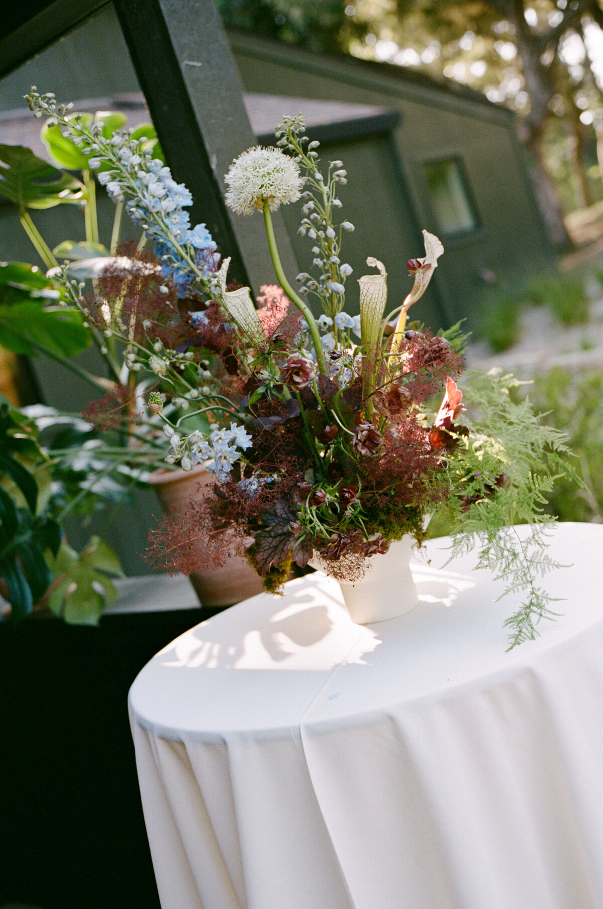 Rebecca + August-86