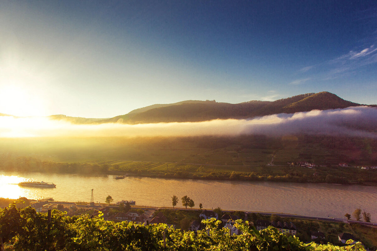 Morgendliche Nebelstimmung über den Weinbergen der Wachau – ein Beispiel für professionelle Landschaftsfotografie mit alpinem Bezug und feiner Lichtinszenierung vom Fotograf Atelier Schulte aus Österreich.