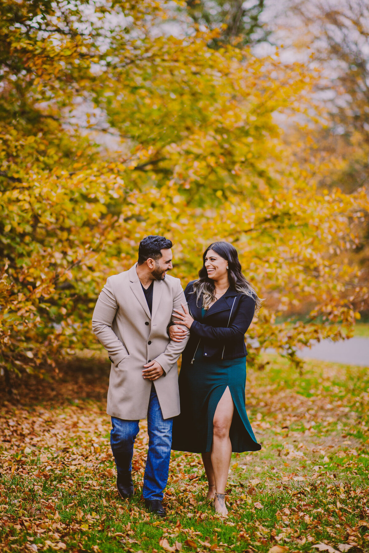 A couple walking through the leaves in front of a colorful fall tree at planting fields arboretum