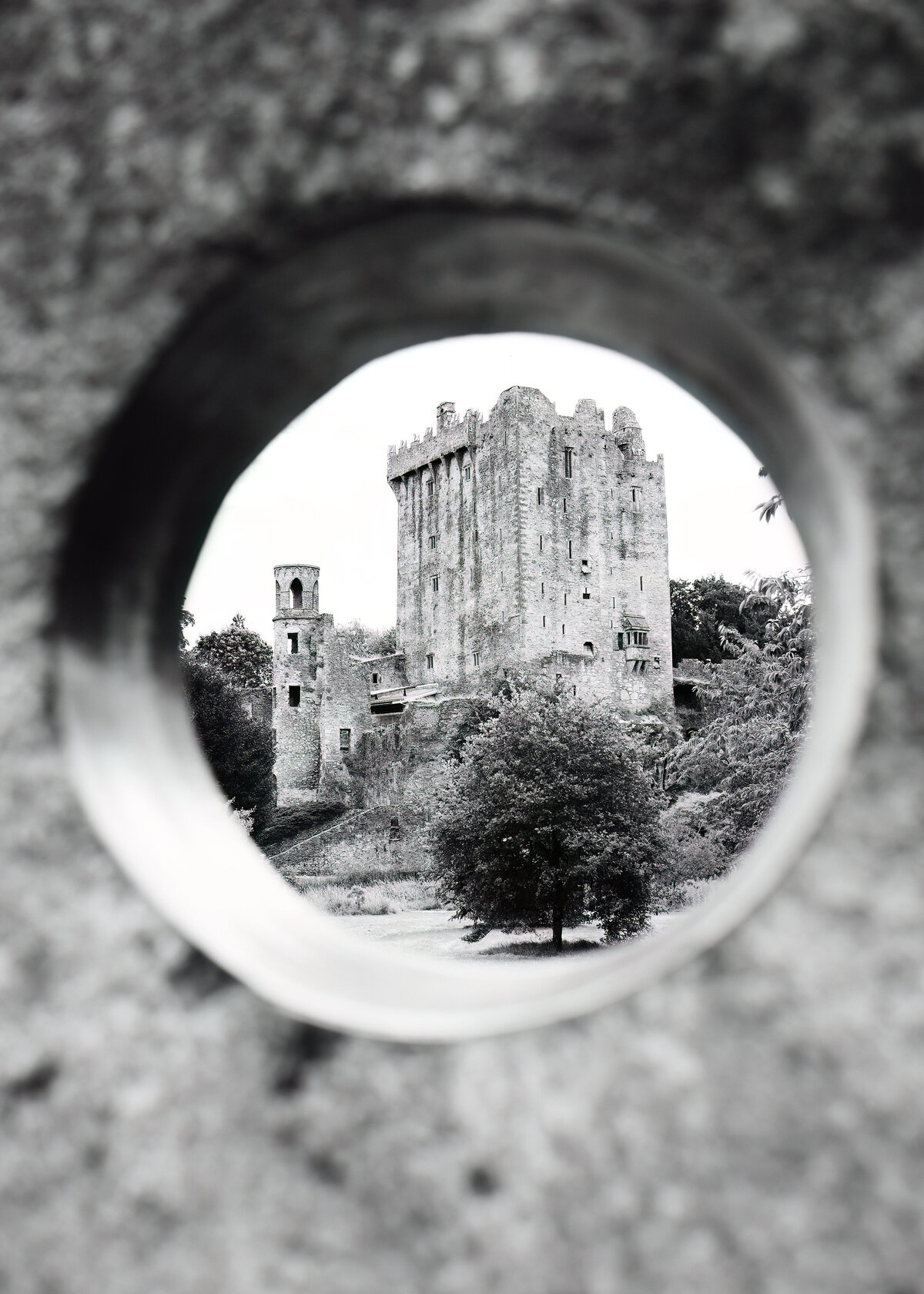 Blarney-DeNoiseAI-low-light