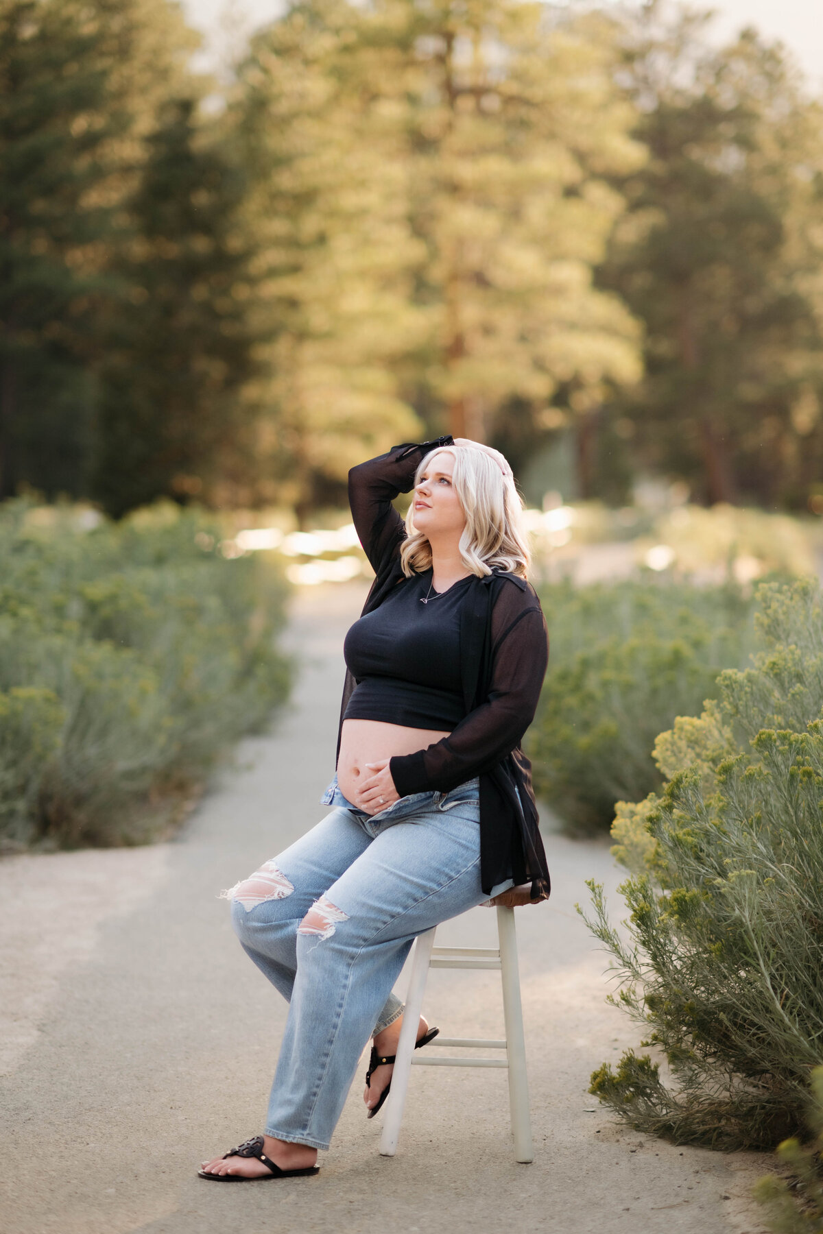 Maternity-Photos-Mt-Charleston (2)