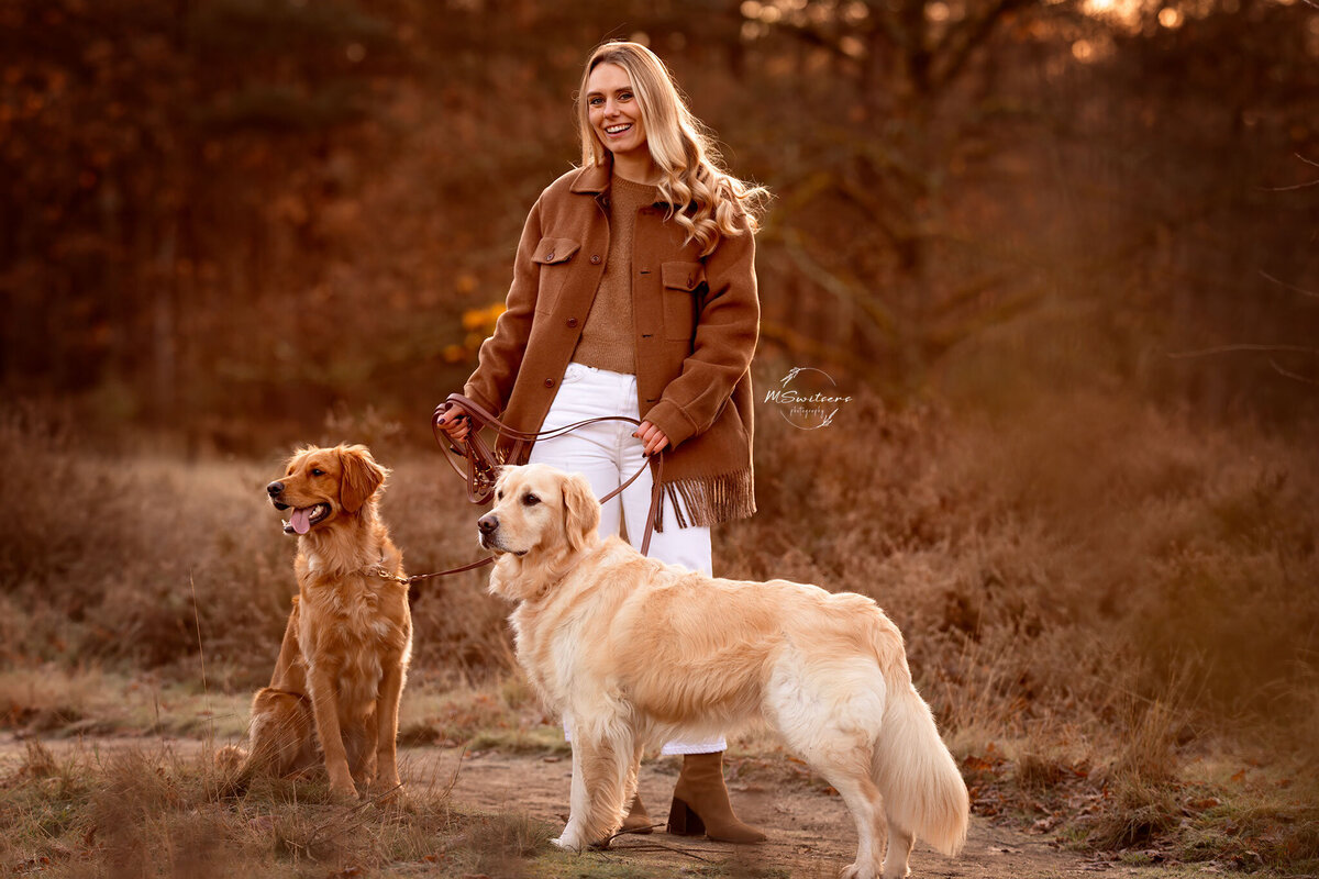 Outdoor fotoshoot in de Kesselse Heide met 2 golden retrievers bij zonsopgang.