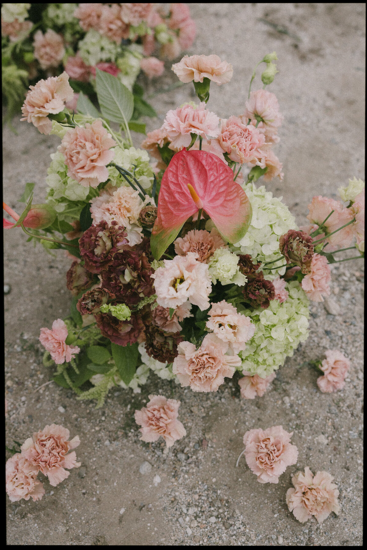 fernie-wedding-photographer-kelly&lenny-shp-5