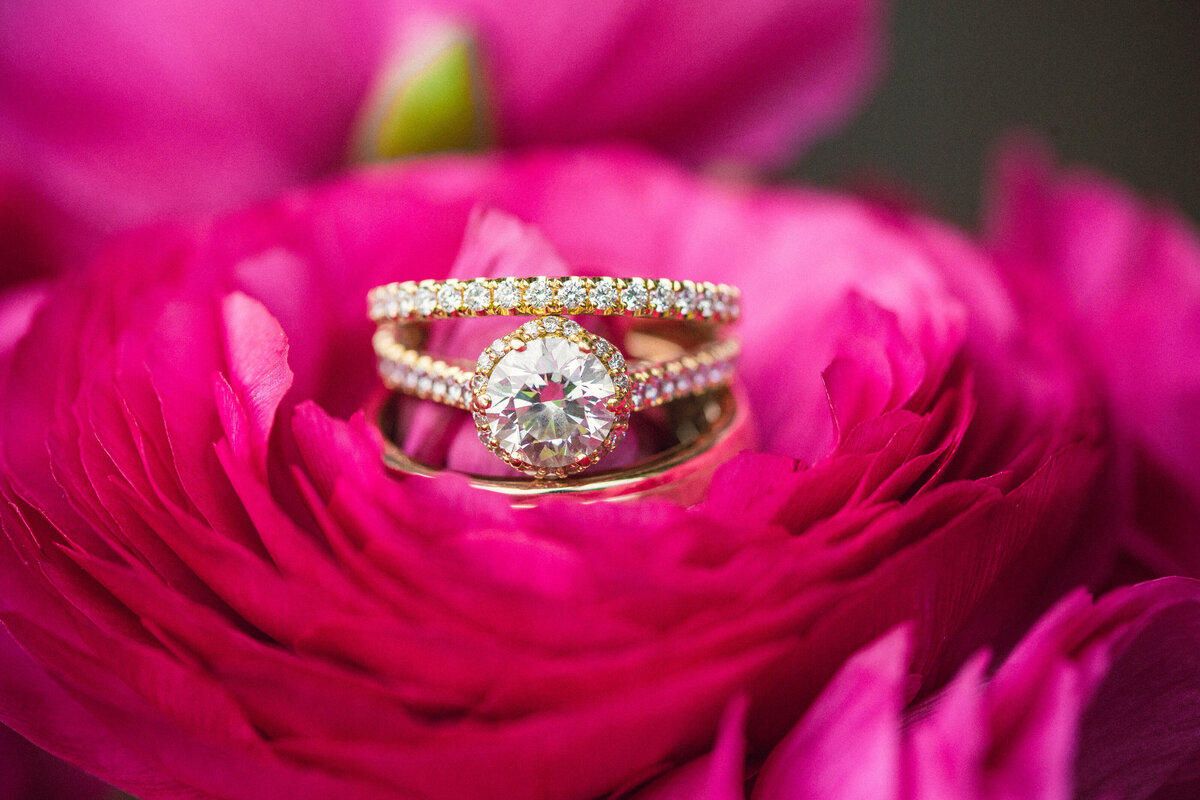 Rings Virginia AP-3